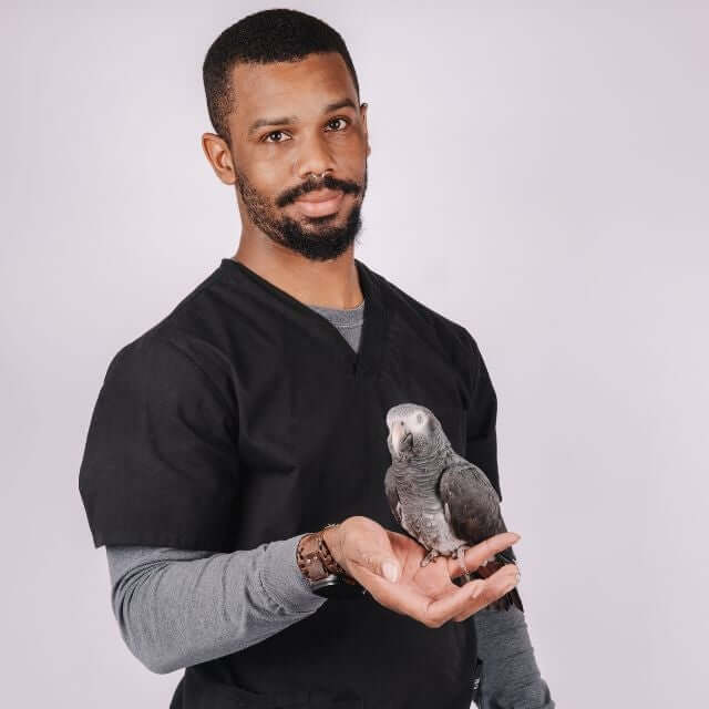 Rayshaud Holloway