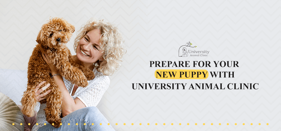 Prepare-for-Your-New-Puppy-With-University-Animal-Clinic