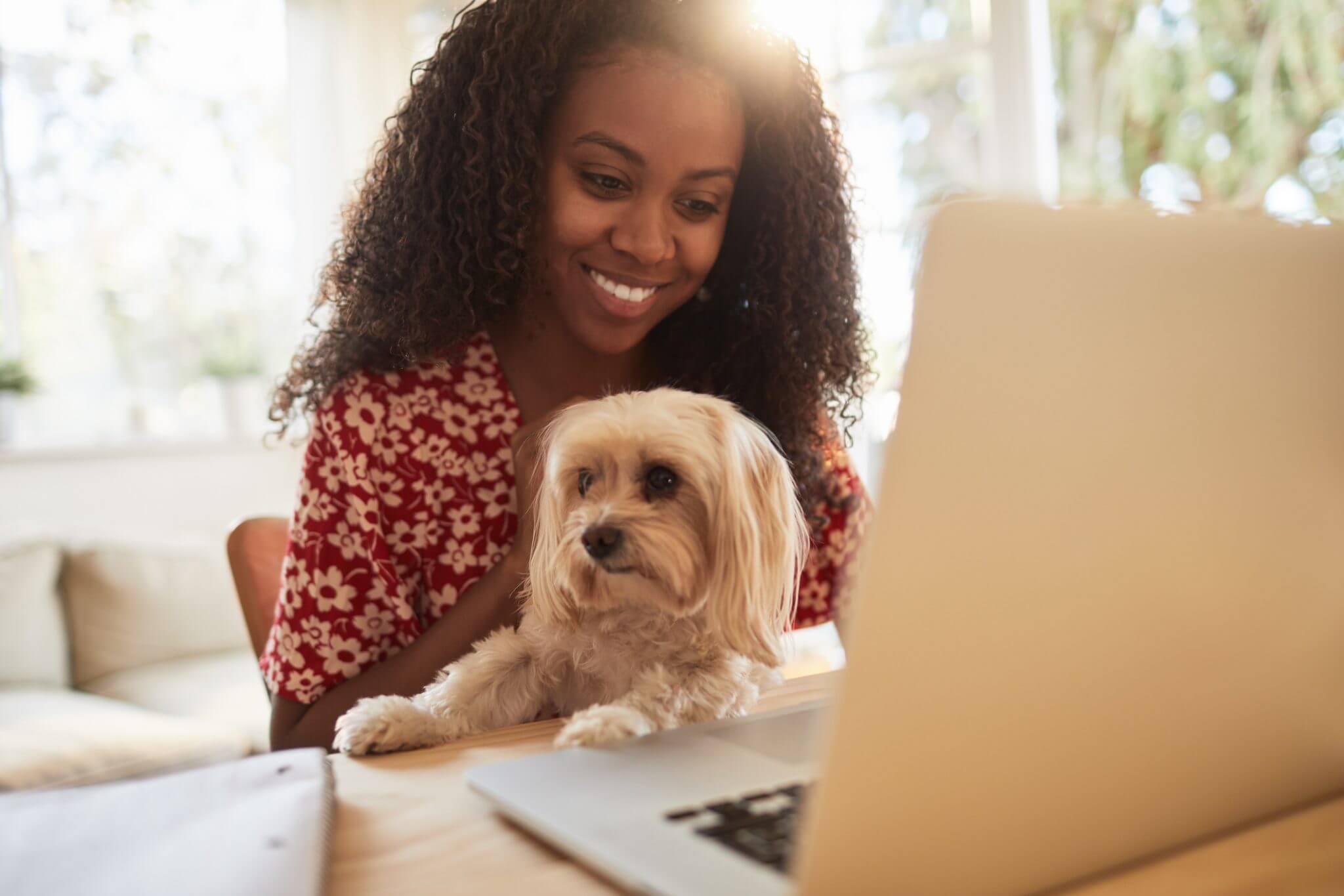 owner-with-cute-dog-on-laptop