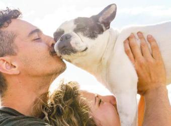 9 Health Tips Every Dog Owner Should Know on National Dog Day