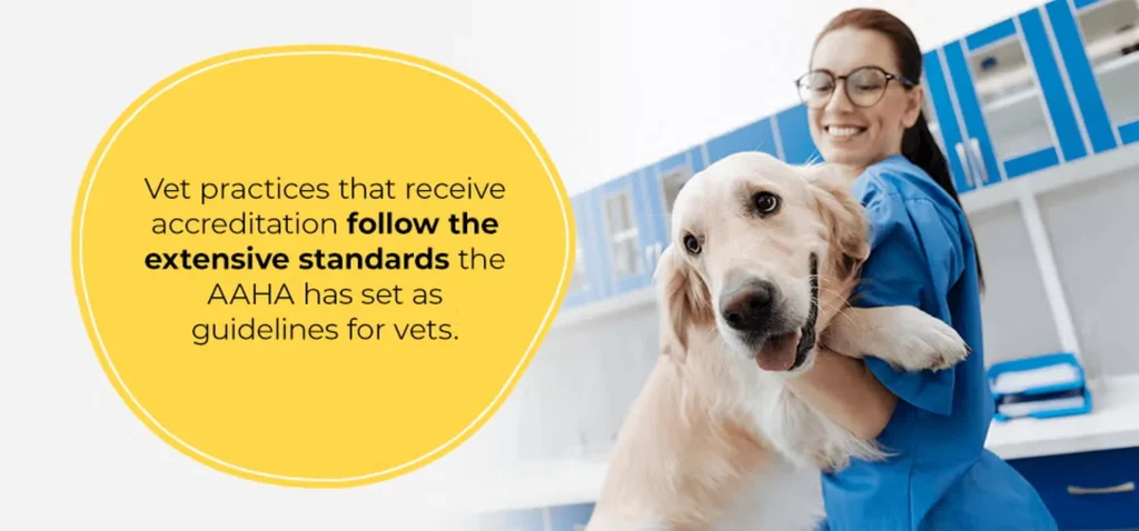 The Benefits Of Choosing An AAHA Vet