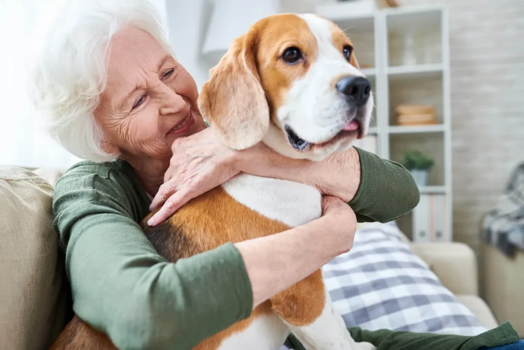 Why Is Your Pet’s Weight So Important?