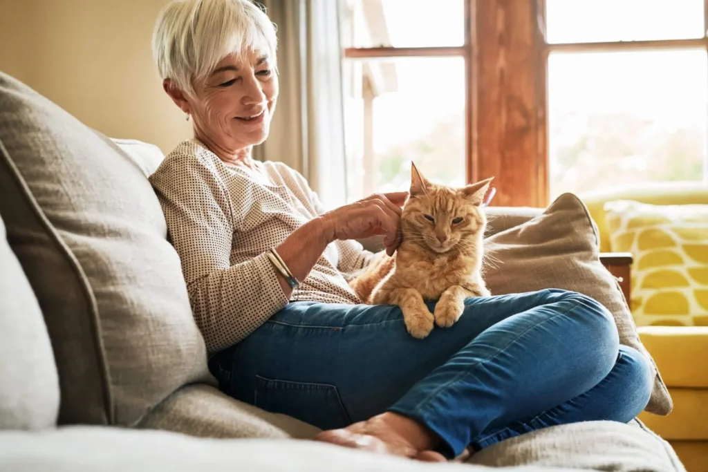 How To Handle A Pet Emergency
