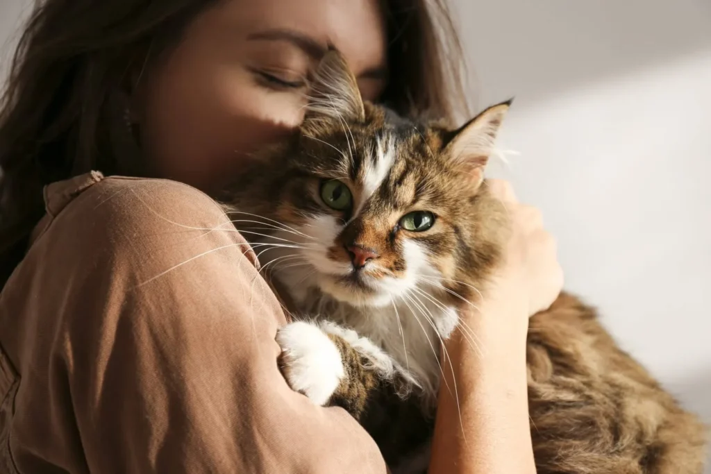 How To Protect Your Pets During A Hurricane