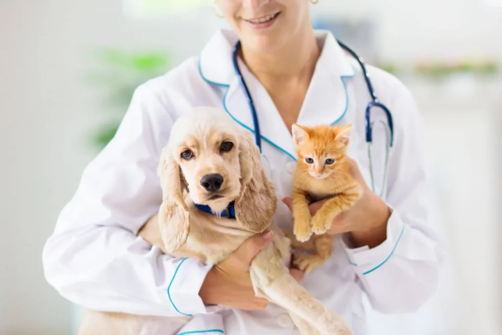 Common Worms And Parasites: Identifying Worms And Symptoms In Your Pets
