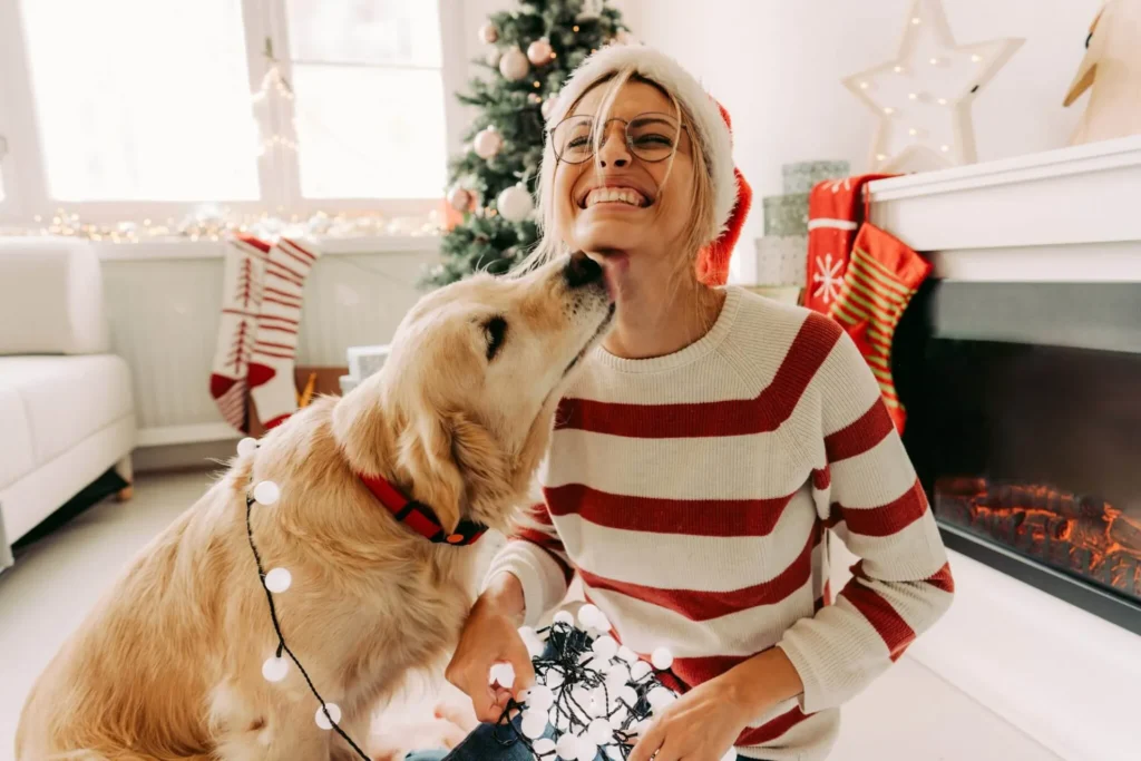 How To Keep Your Pets Safe During The Holidays