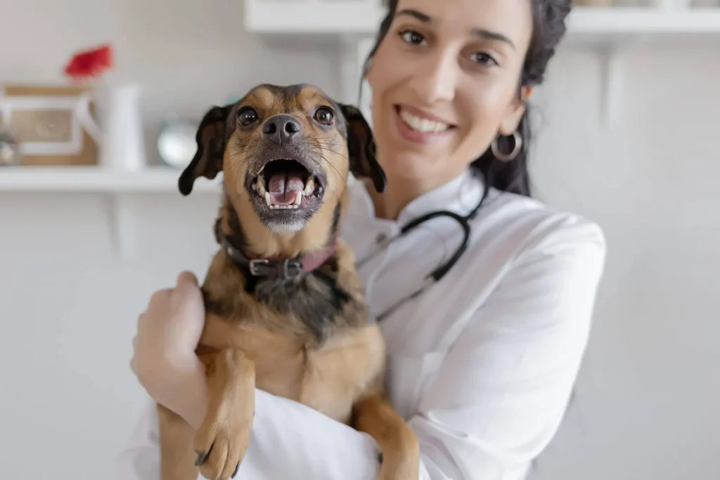 Understanding Giardia In Pets: Symptoms & Treatment Options