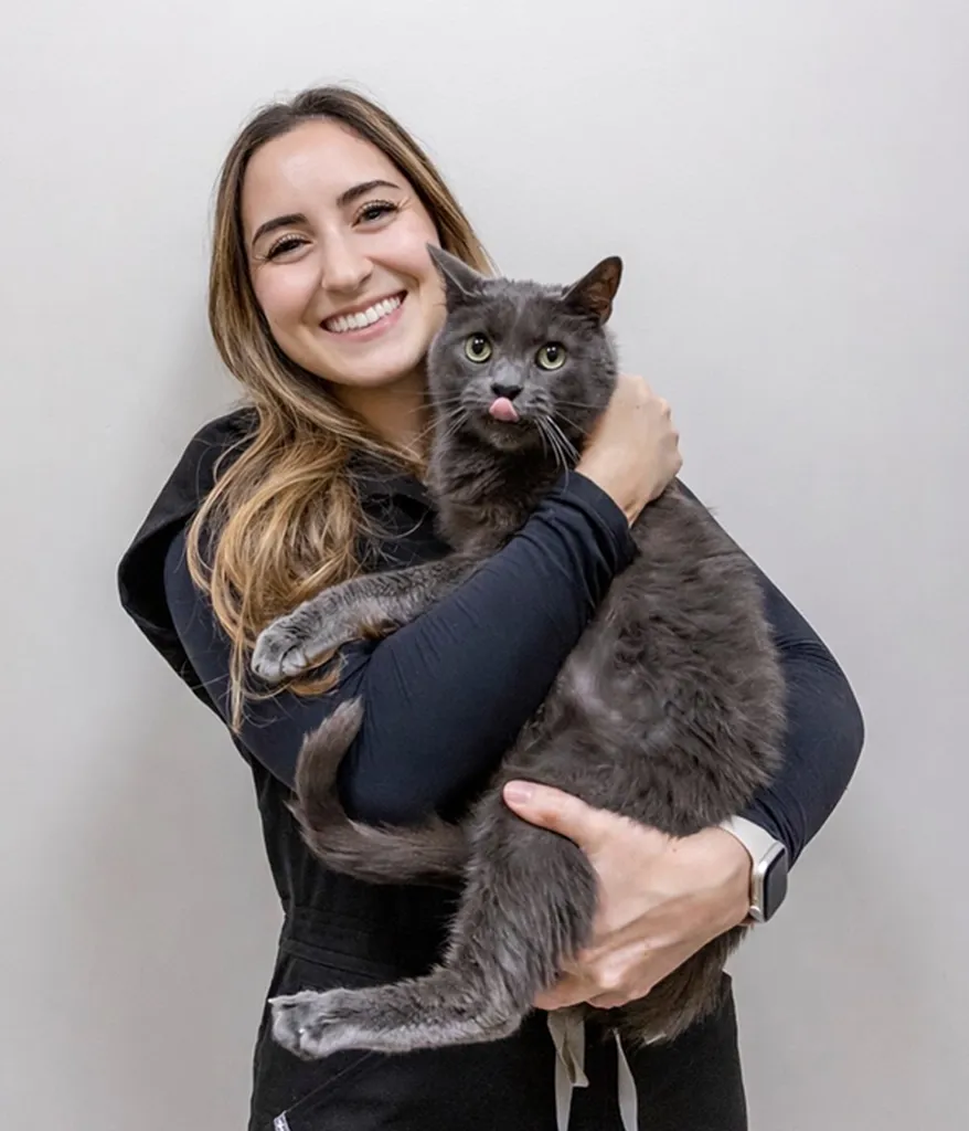 Dr. Molly Cohen