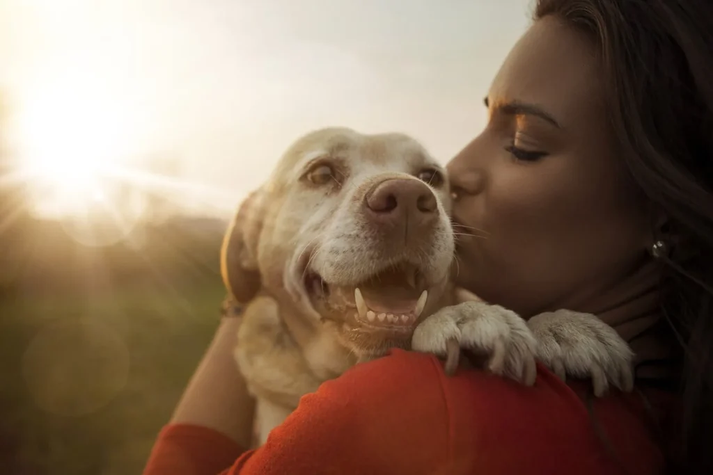 Tips For Preventing Heat Exhaustion & Heat Stroke In Dogs This Summer