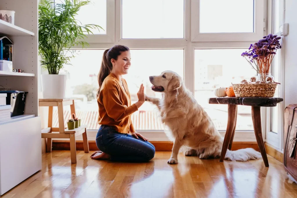 How To Find A Great Pet Sitter In Florida