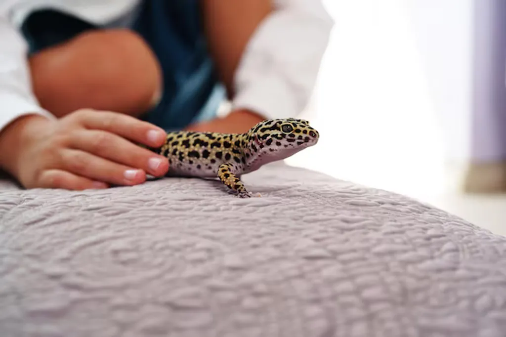Reptiles