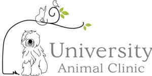 University Animal Clinic