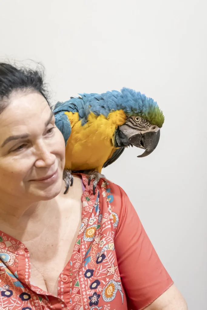 Birds