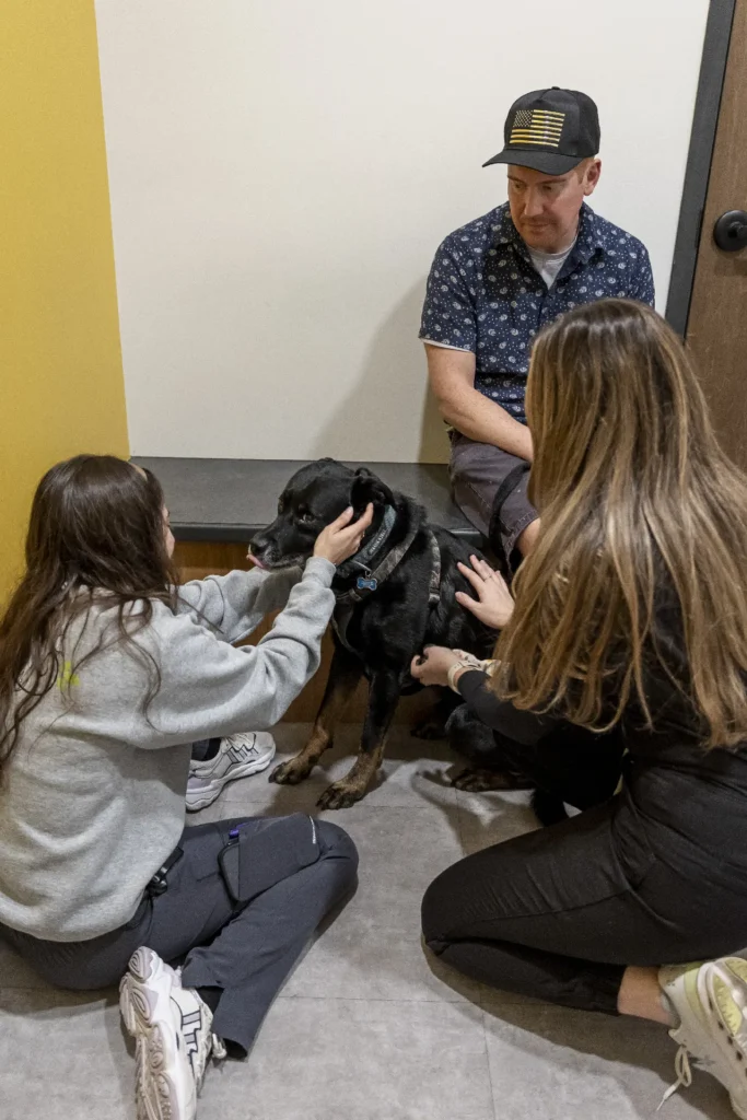 End-of-Life Care, pet euthanasia support, compassionate pet goodbye