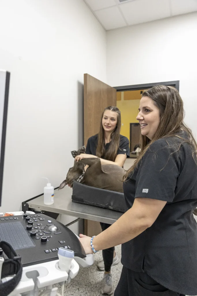 Community Involvement, Lakewood Ranch veterinary community initiatives, Sarasota pet care partnerships