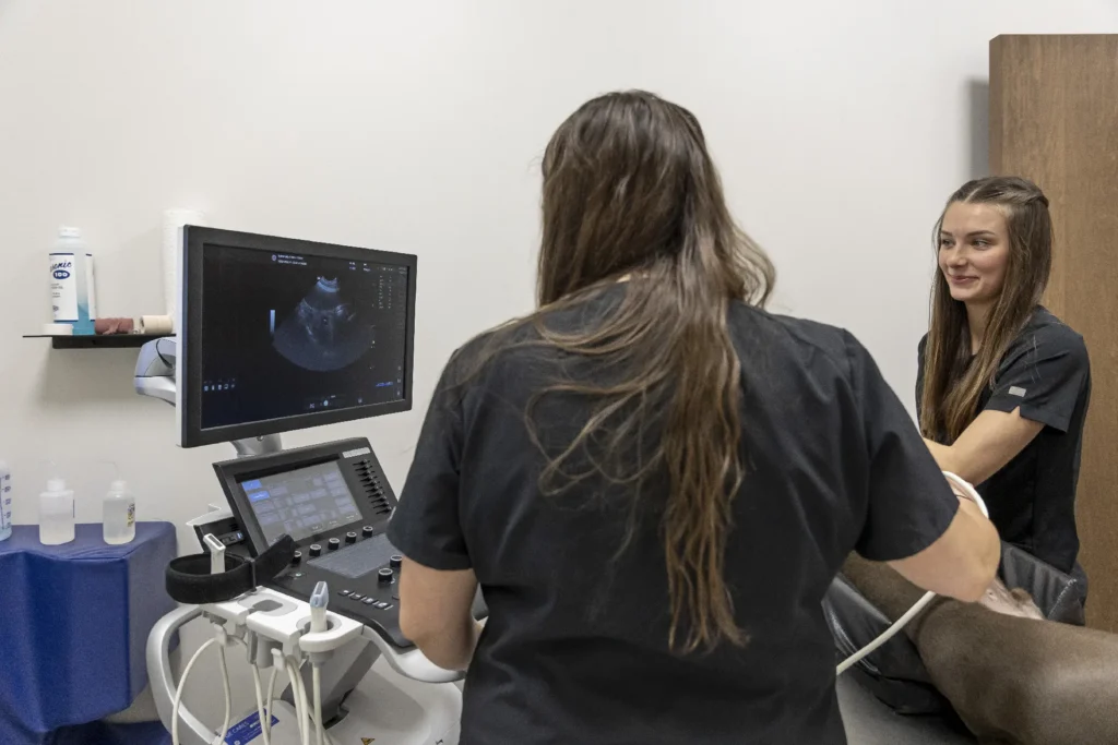 Diagnostics and Imaging, pet diagnostic services Lakewood Ranch, veterinary imaging Sarasota
