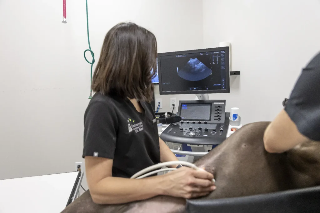 Our Hospital, Lakewood Ranch veterinary hospital, purpose-built animal care facility