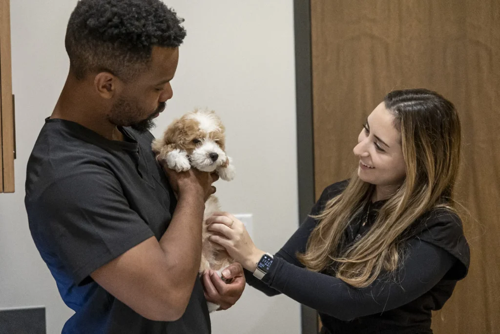 AAHA Accreditation, American Animal Hospital Association standards, veterinary hospital accreditation benefits