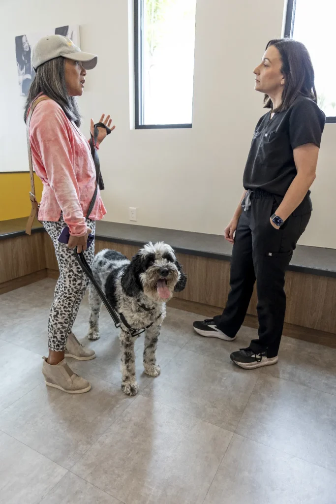Pain Management, pet pain relief services, veterinary pain management