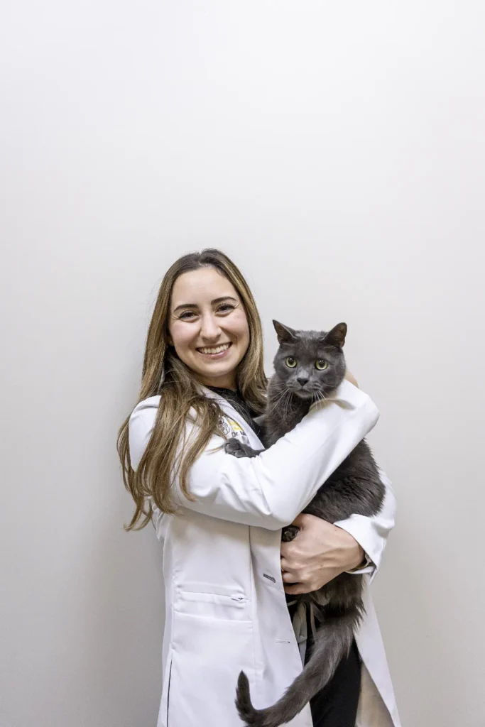 Puppy and Kitten Care, puppy and kitten vaccinations Sarasota, early pet training and behavior tips