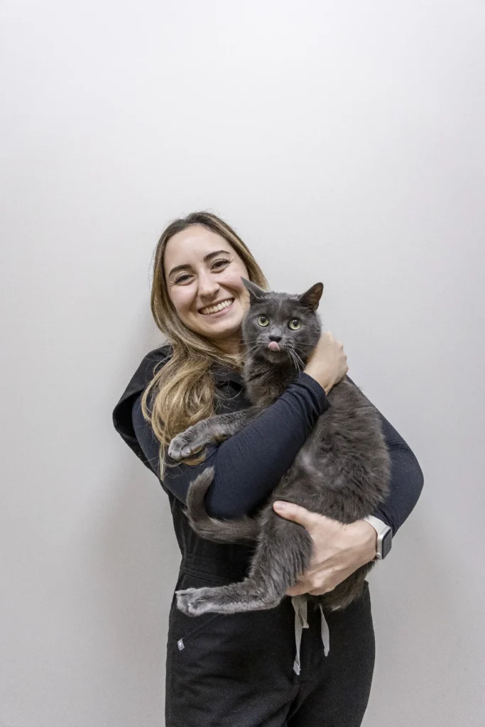 Preventive and Wellness Care, pet wellness care Sarasota, preventive veterinary services