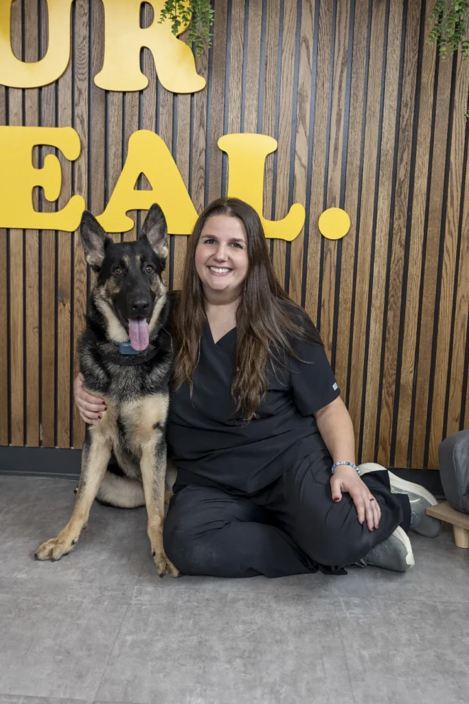 Heart Disease, pet heart health diagnostics, echocardiogram for dogs and cats