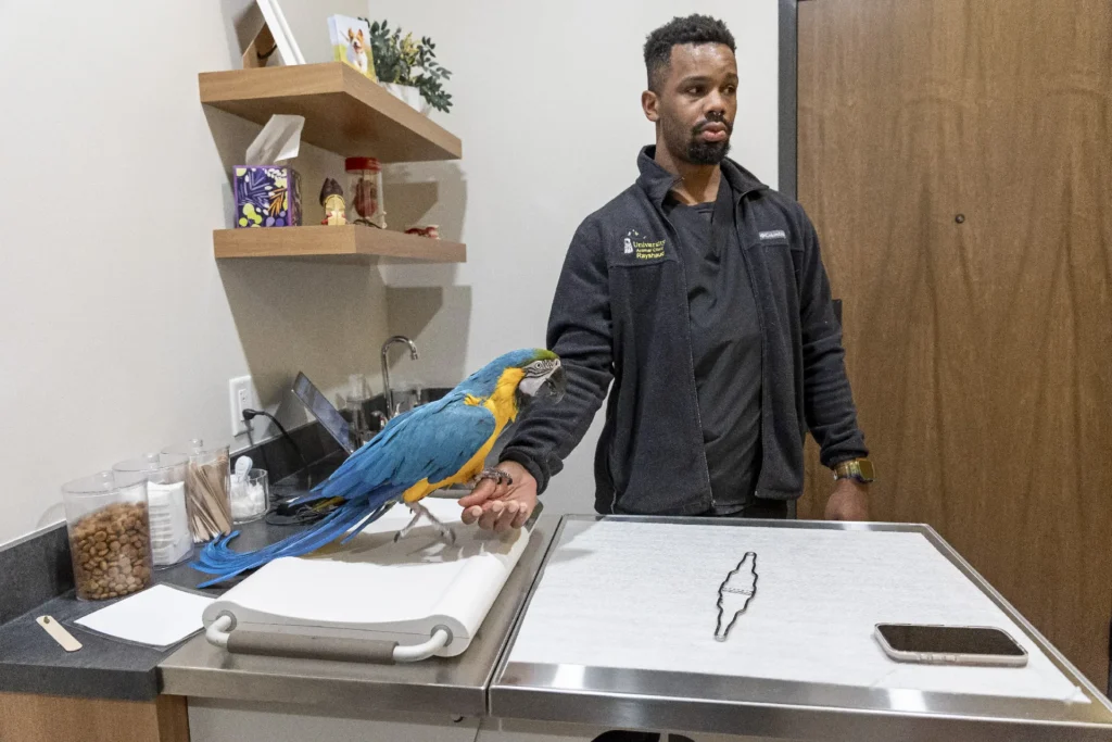 Avian/Bird Care, avian veterinary services, care for pet birds
