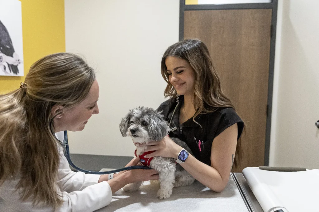 Preventive and Wellness Care, pet wellness care Sarasota, preventive veterinary services