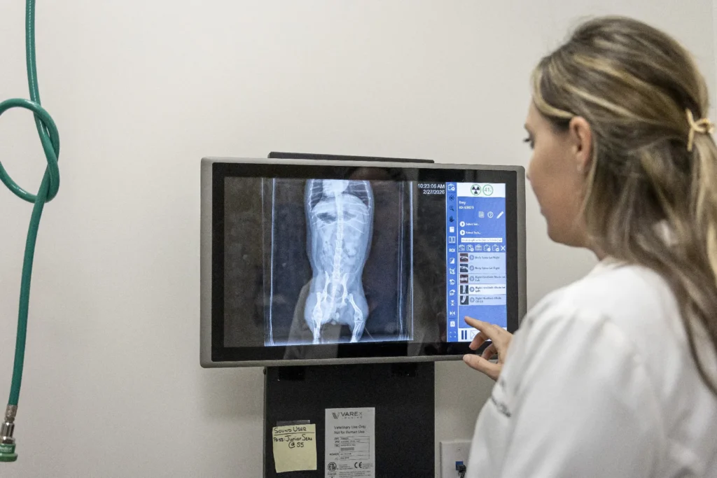 Radiology and Ultrasound Room