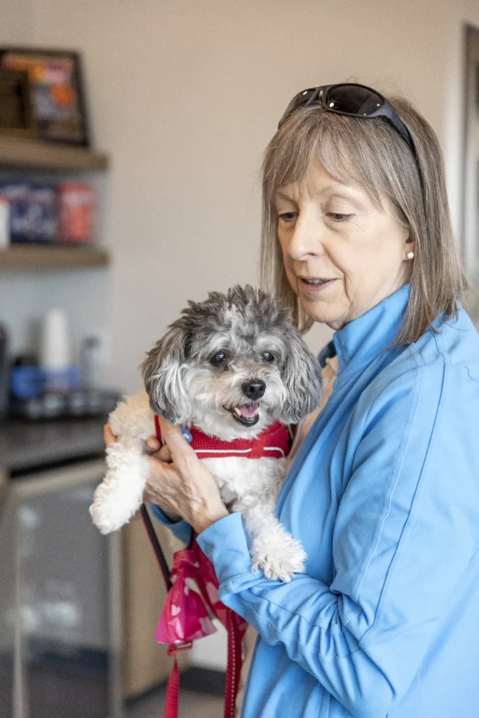 Senior Pet Care, senior dog and cat health Sarasota, aging pet wellness services