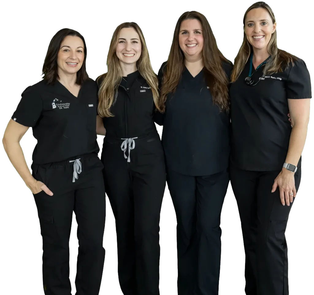 Home, University Animal Clinic Sarasota, family-owned veterinary hospital Lakewood Ranch